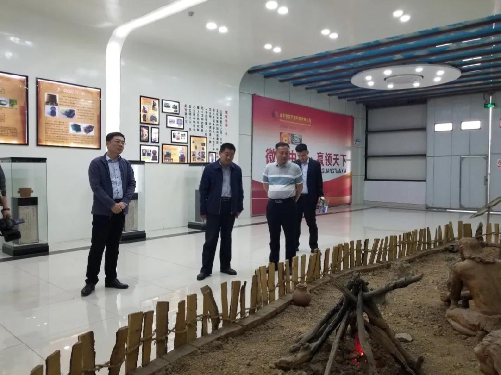 东营市河口区工信局杨学刚局长一行来公司参观考察